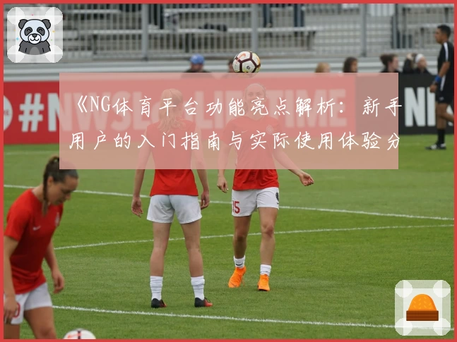 《NG体育平台功能亮点解析：新手用户的入门指南与实际使用体验分享》